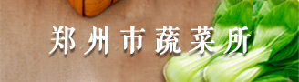 郑州市蔬菜所