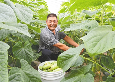 中牟县孙庄村乡谣农场托起共同富裕希望